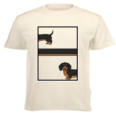 Curiosity - Wandering Dachshund Thumbnail